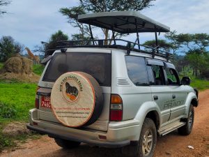 Toyota-land-cruiser-TX-TZ-Prado-Rentals-in-Uganda